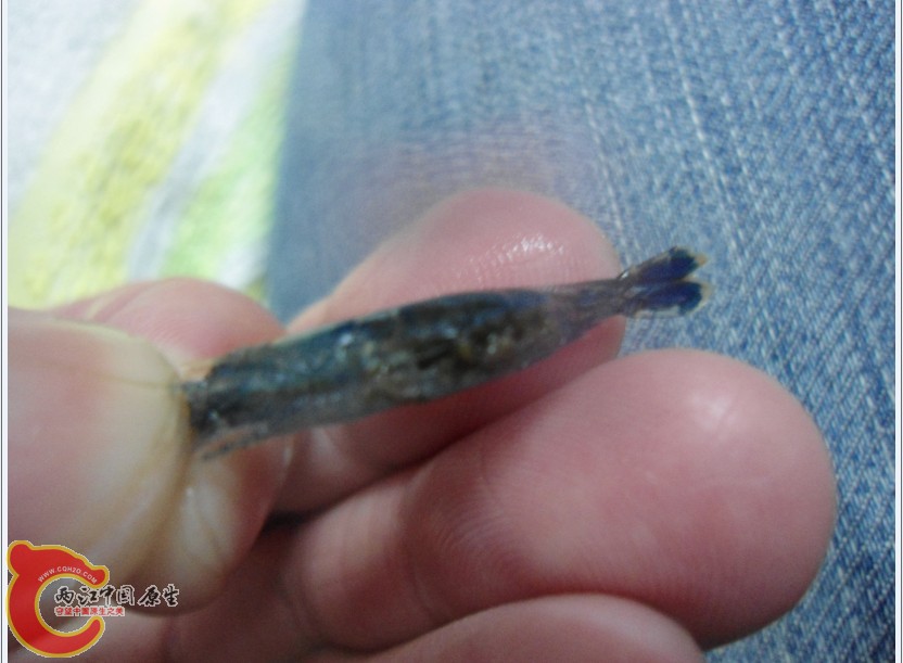P72`NK`Z}$I4W)ND(THD9SE.jpg