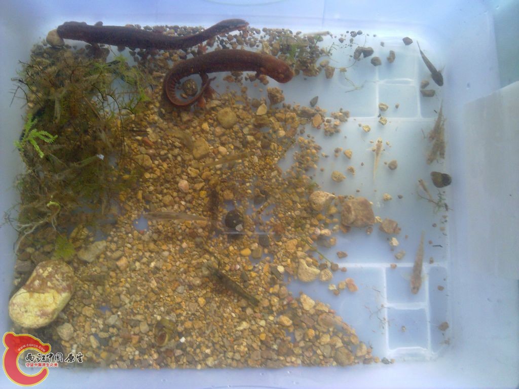 20120404401.jpg