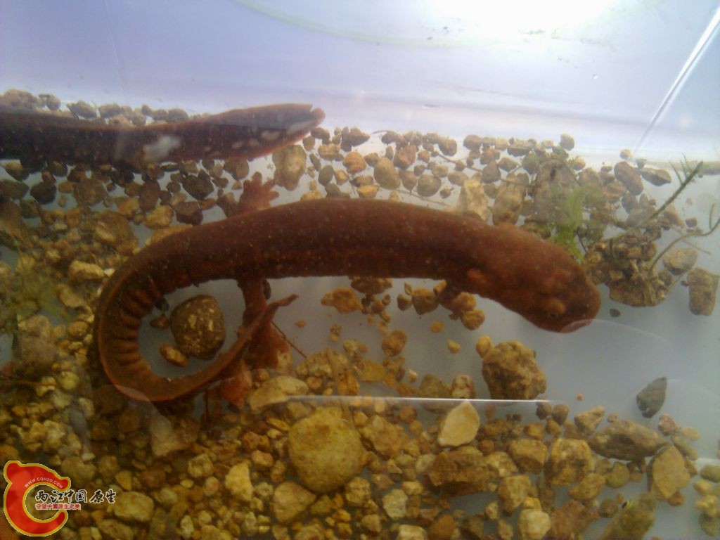 20120404402.jpg
