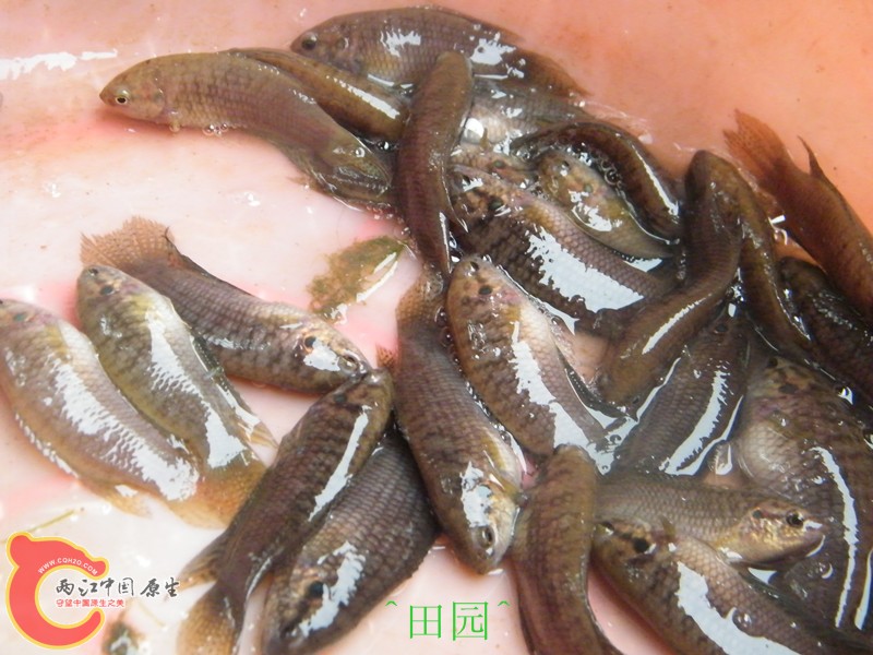 DSCF3024_副本.jpg