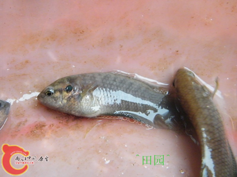 DSCF3028_副本.jpg