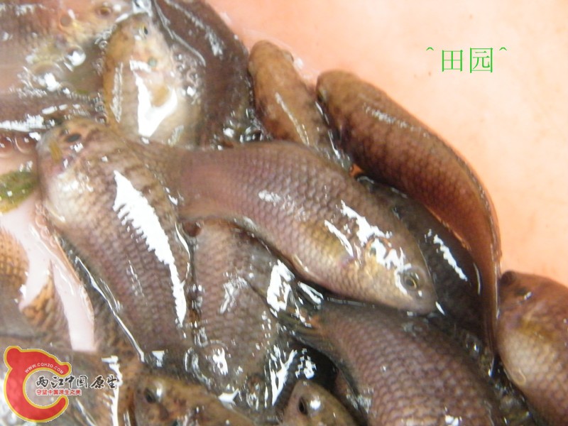 DSCF3031_副本.jpg