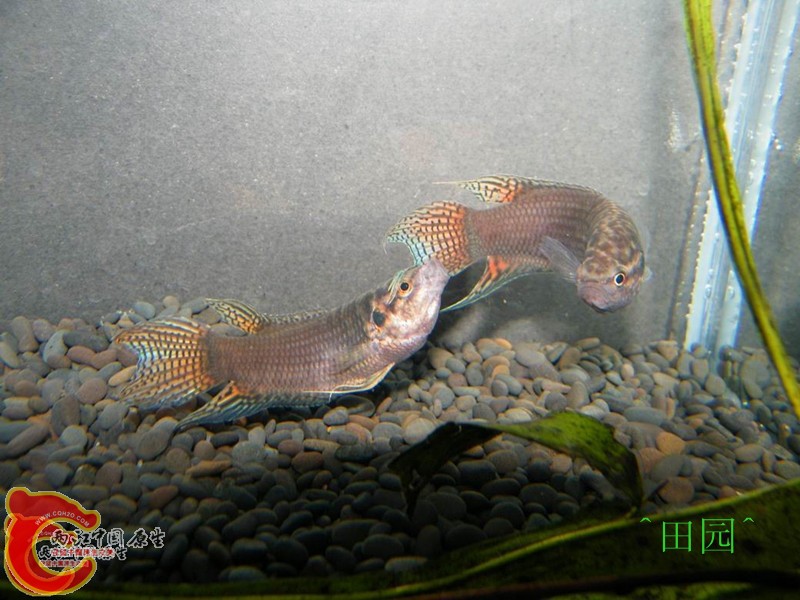 10020121040933b300543b9ef3_副本.jpg