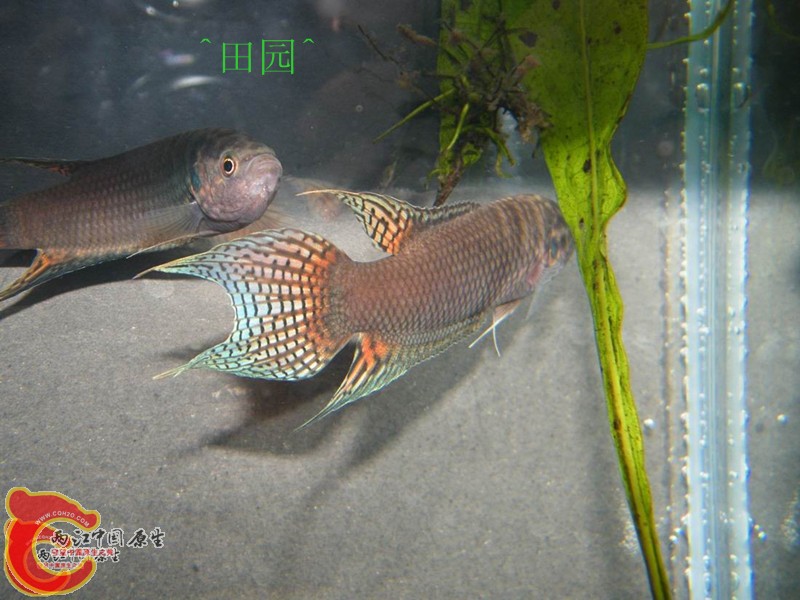 1002012057f19b686f8eba34bd_副本.jpg