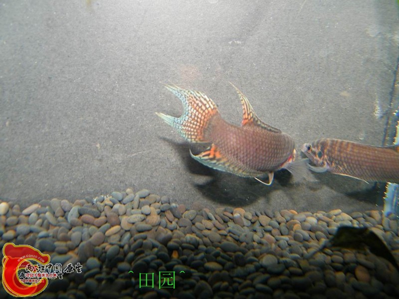 1002012101a59ebbdaff33f7f9_副本.jpg