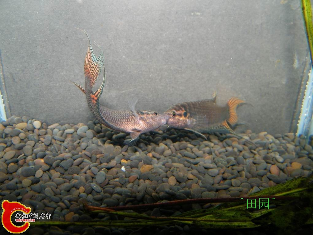 1002012107f62d2db302e6cfe0_副本.jpg