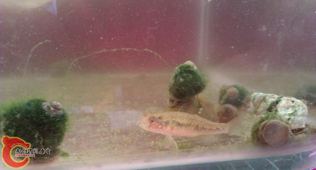 IMAG0018.jpg