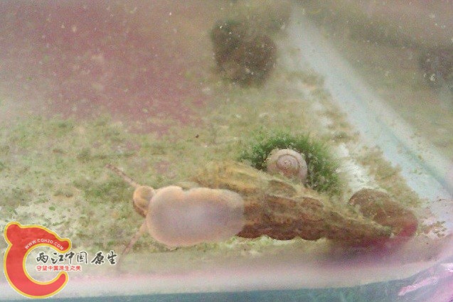 IMAG0026.jpg