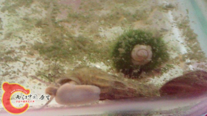 IMAG0027.jpg