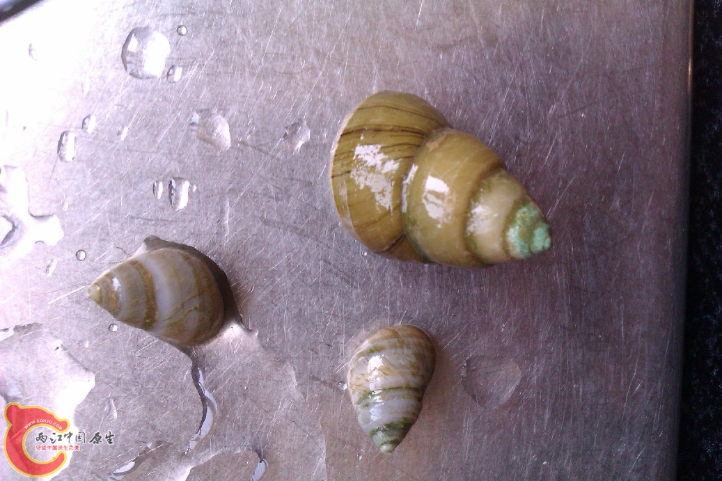 IMAG0033.jpg