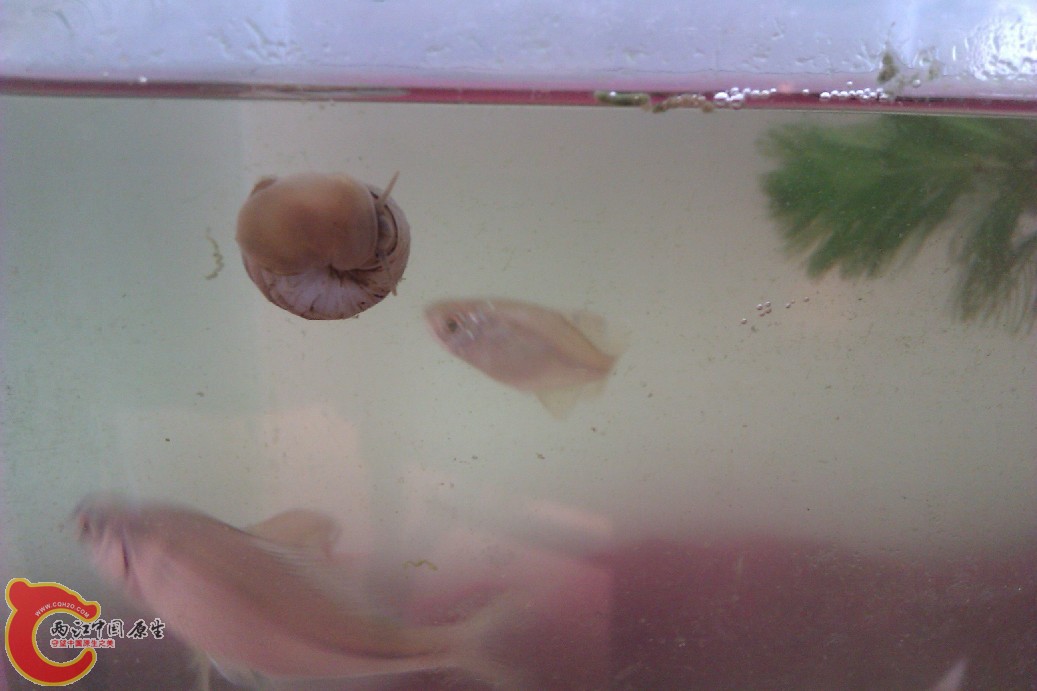 IMAG0035.jpg