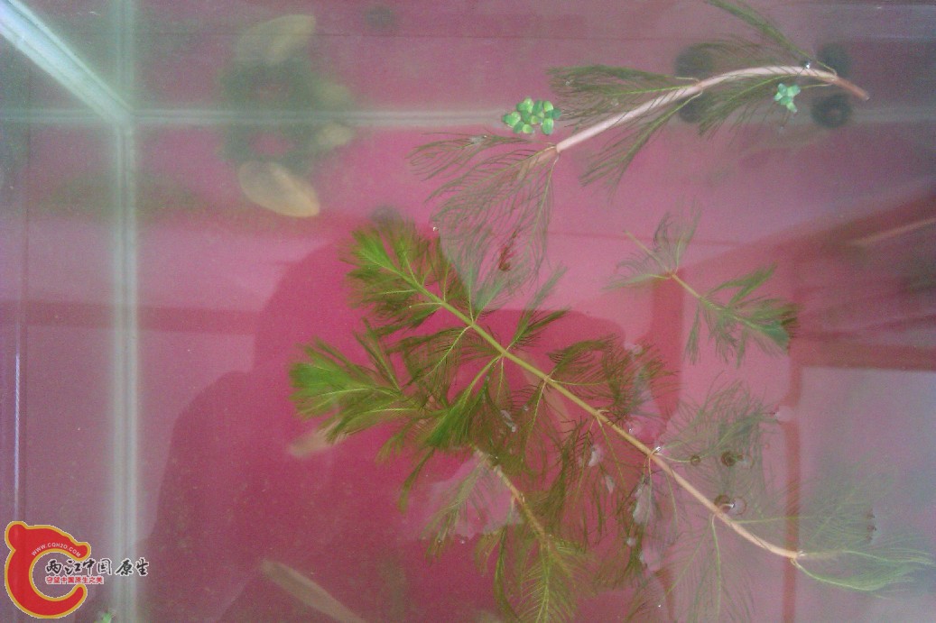 IMAG0037.jpg
