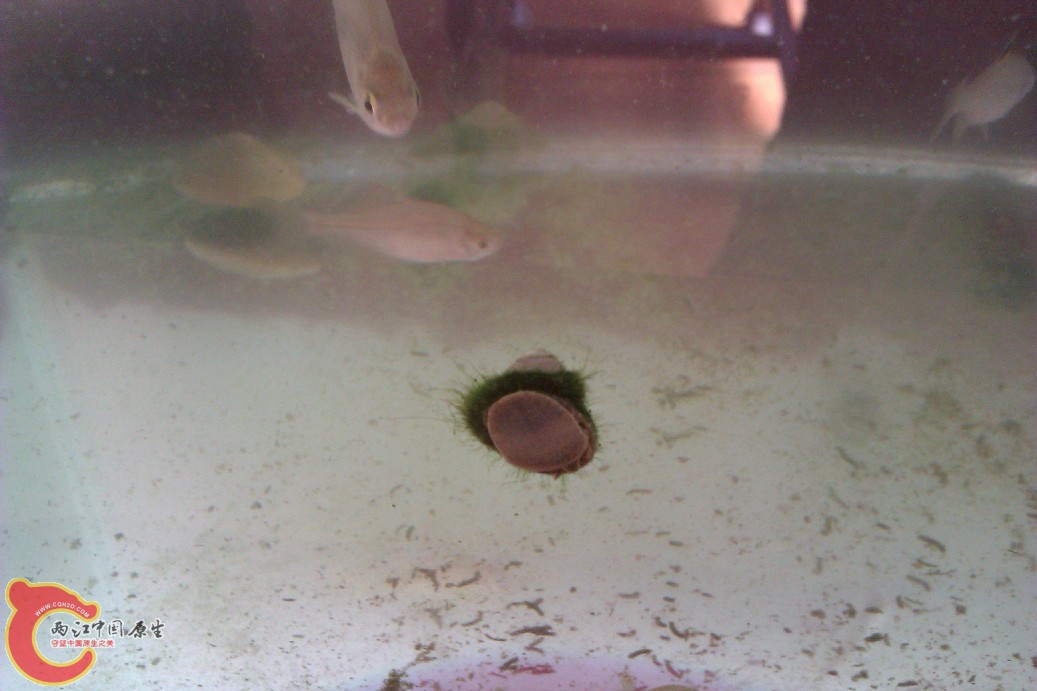 IMAG0039.jpg