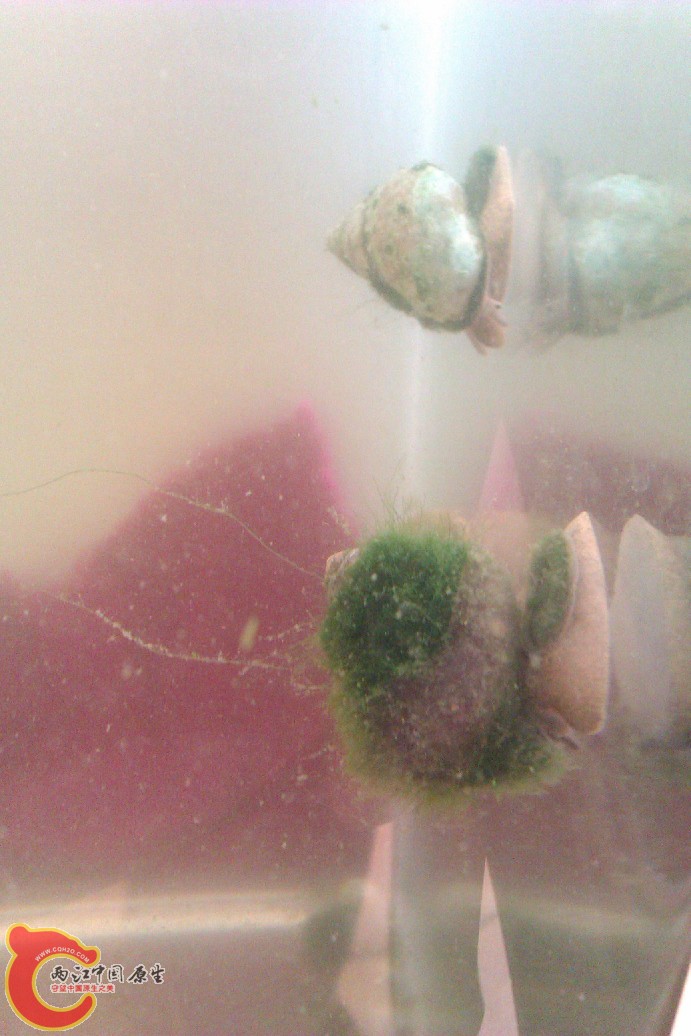 IMAG0041.jpg