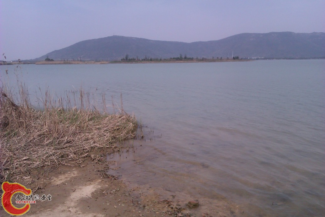 IMAG0043.jpg