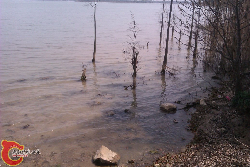 IMAG0044.jpg