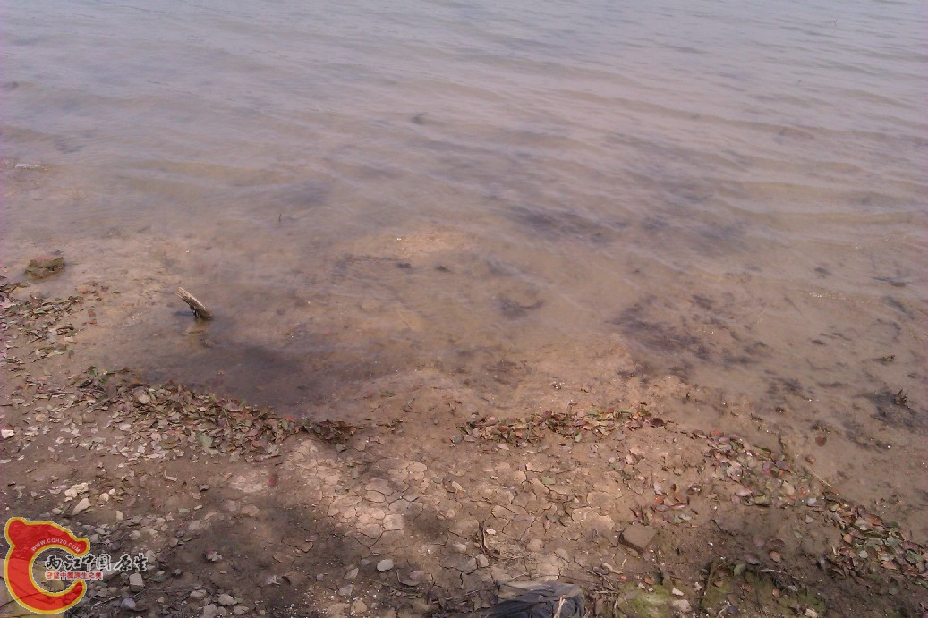 IMAG0045.jpg