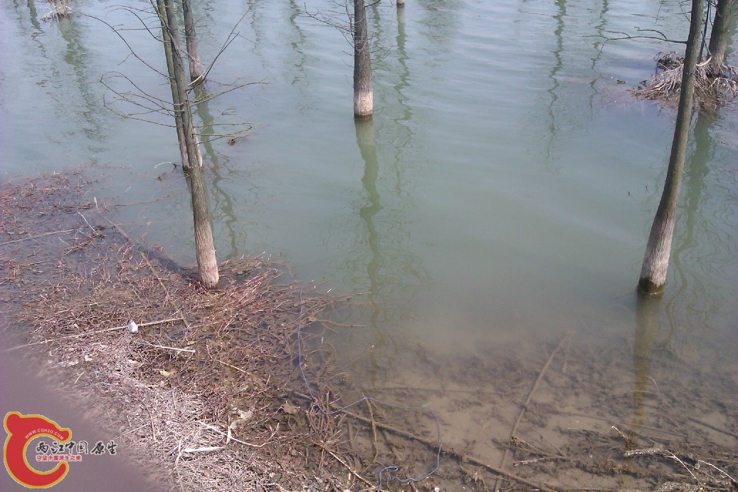 IMAG0051.jpg