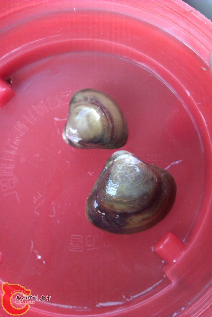 IMAG0052.jpg