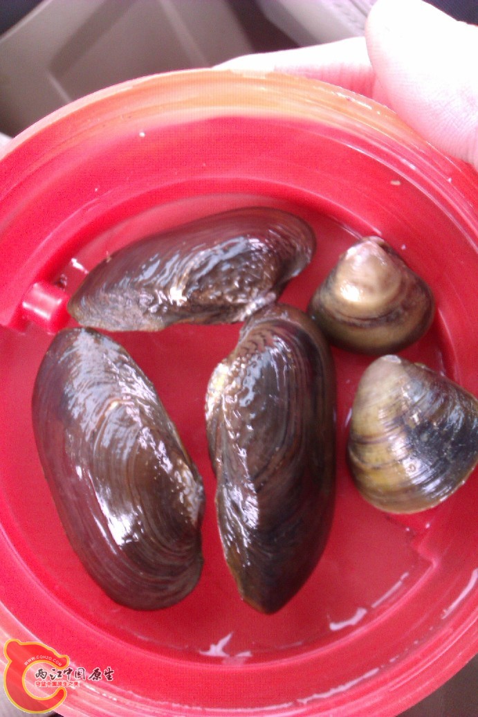IMAG0055.jpg