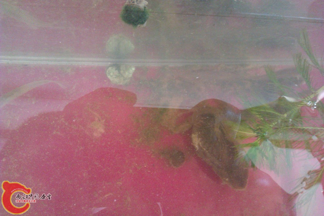 IMAG0058.jpg