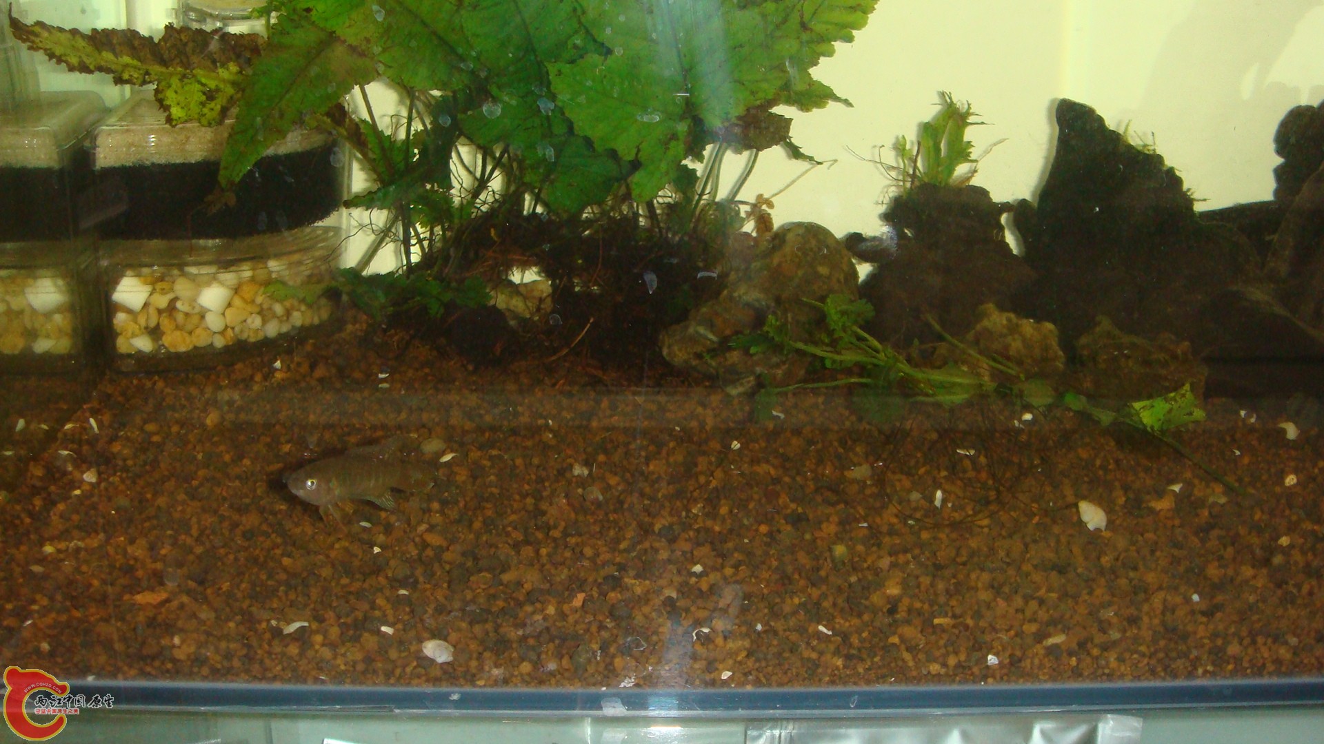 DSC09963.JPG