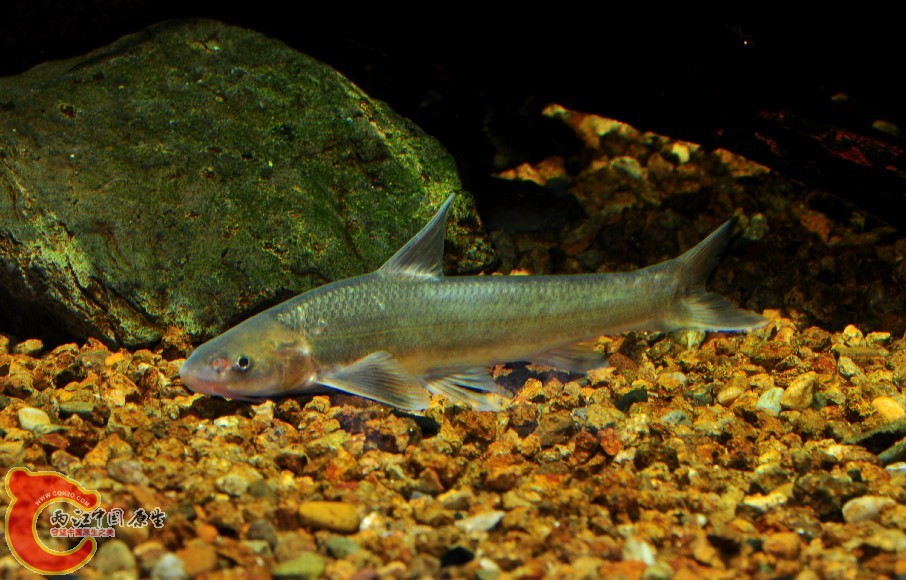 OAO04]5B5V97%RMIL(O`B{X.jpg