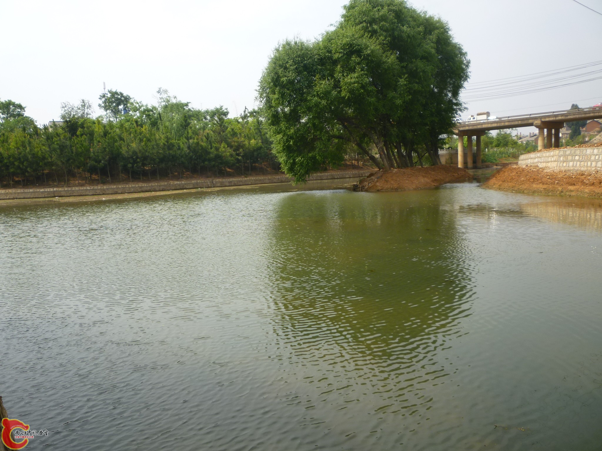 P1050255.JPG