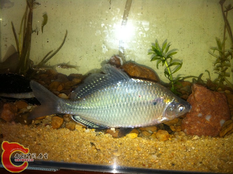 照片 098_副本.jpg