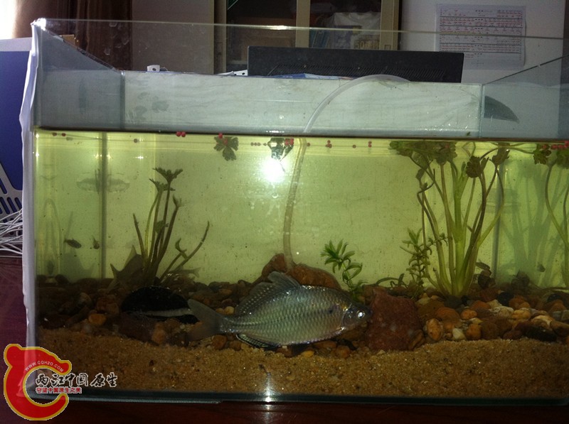 照片 099_副本.jpg