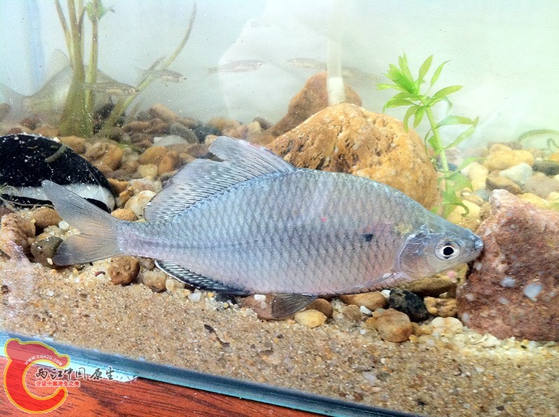 照片 101_副本.jpg