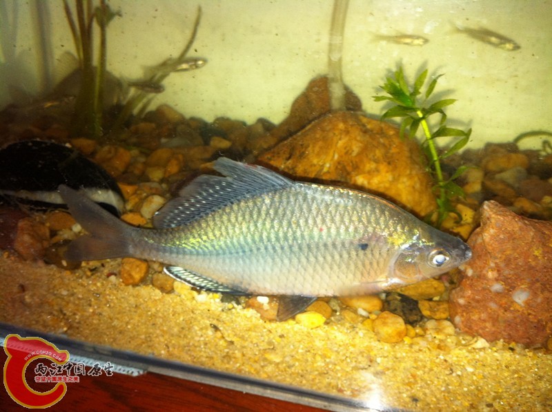 照片 100_副本.jpg