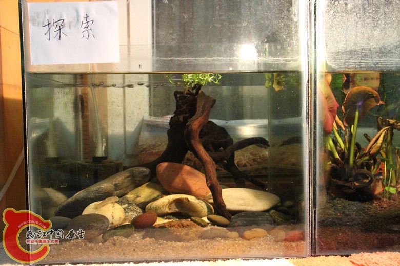 IMG_3765_副本.jpg