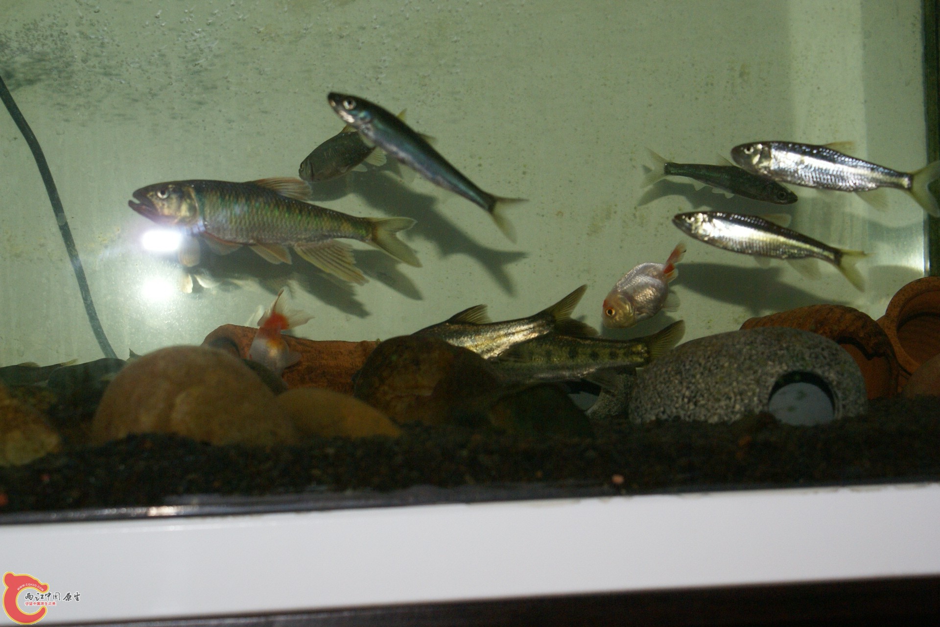 DSC07785.JPG