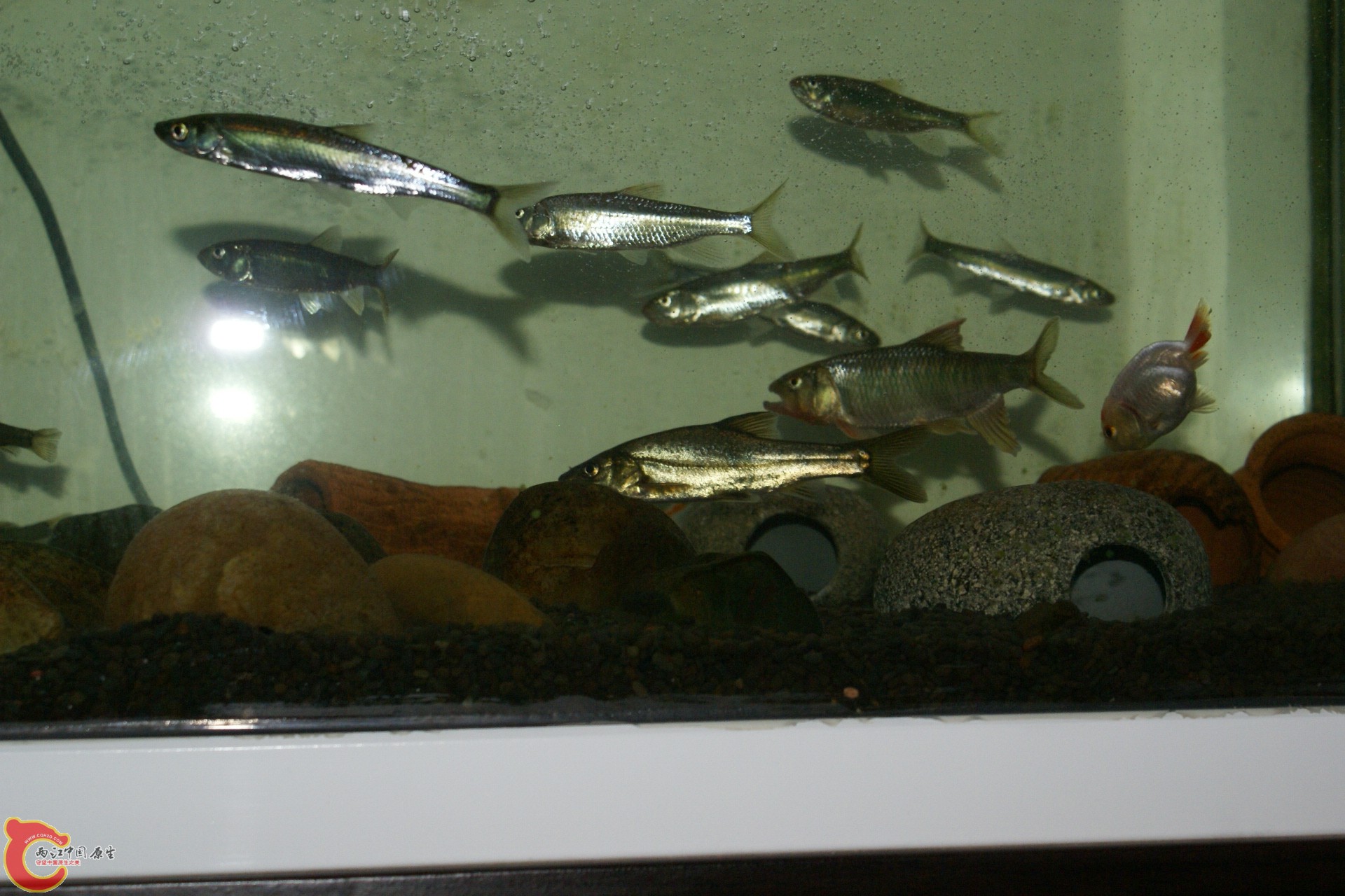 DSC07787.JPG
