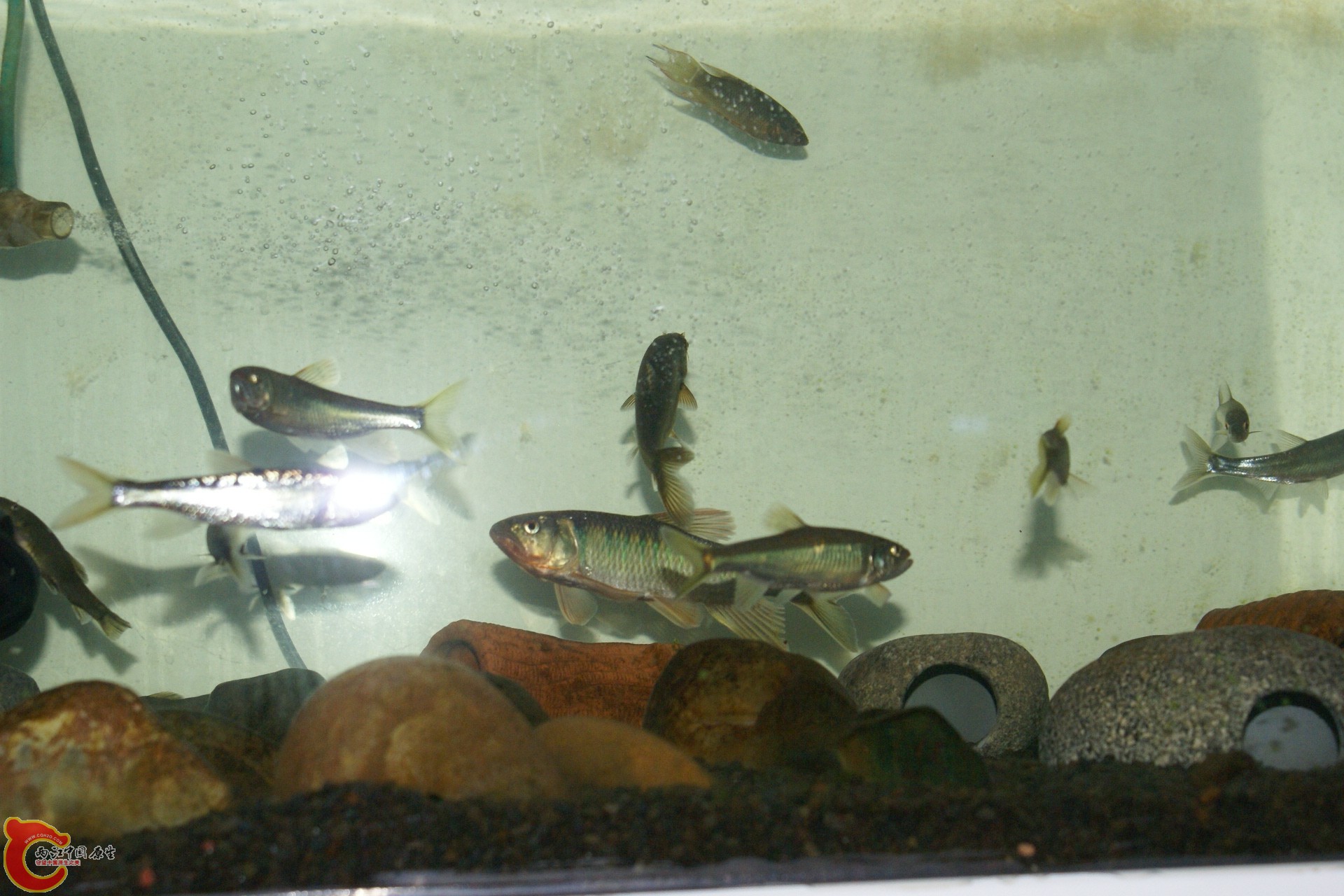 DSC07788.JPG