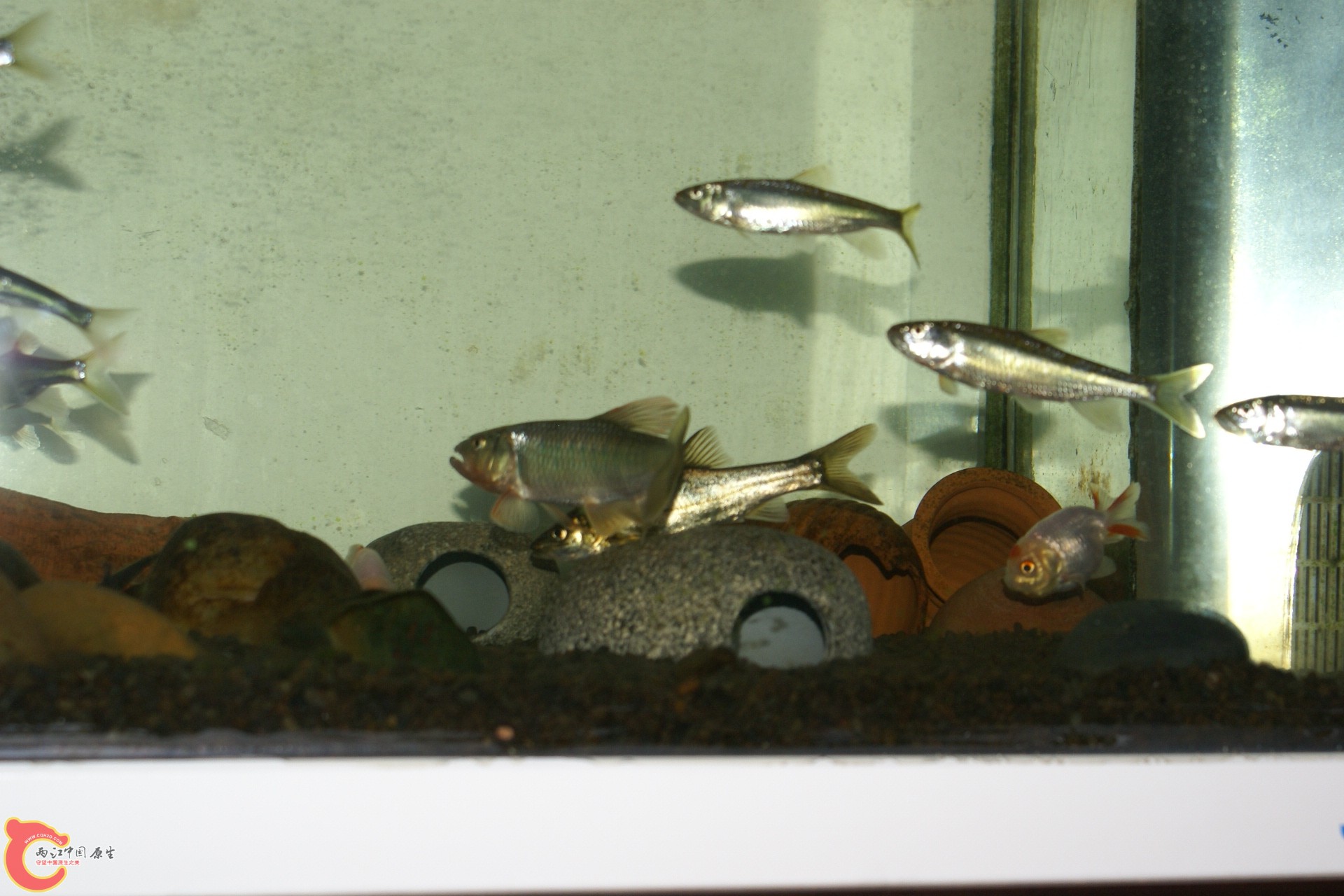 DSC07789.JPG