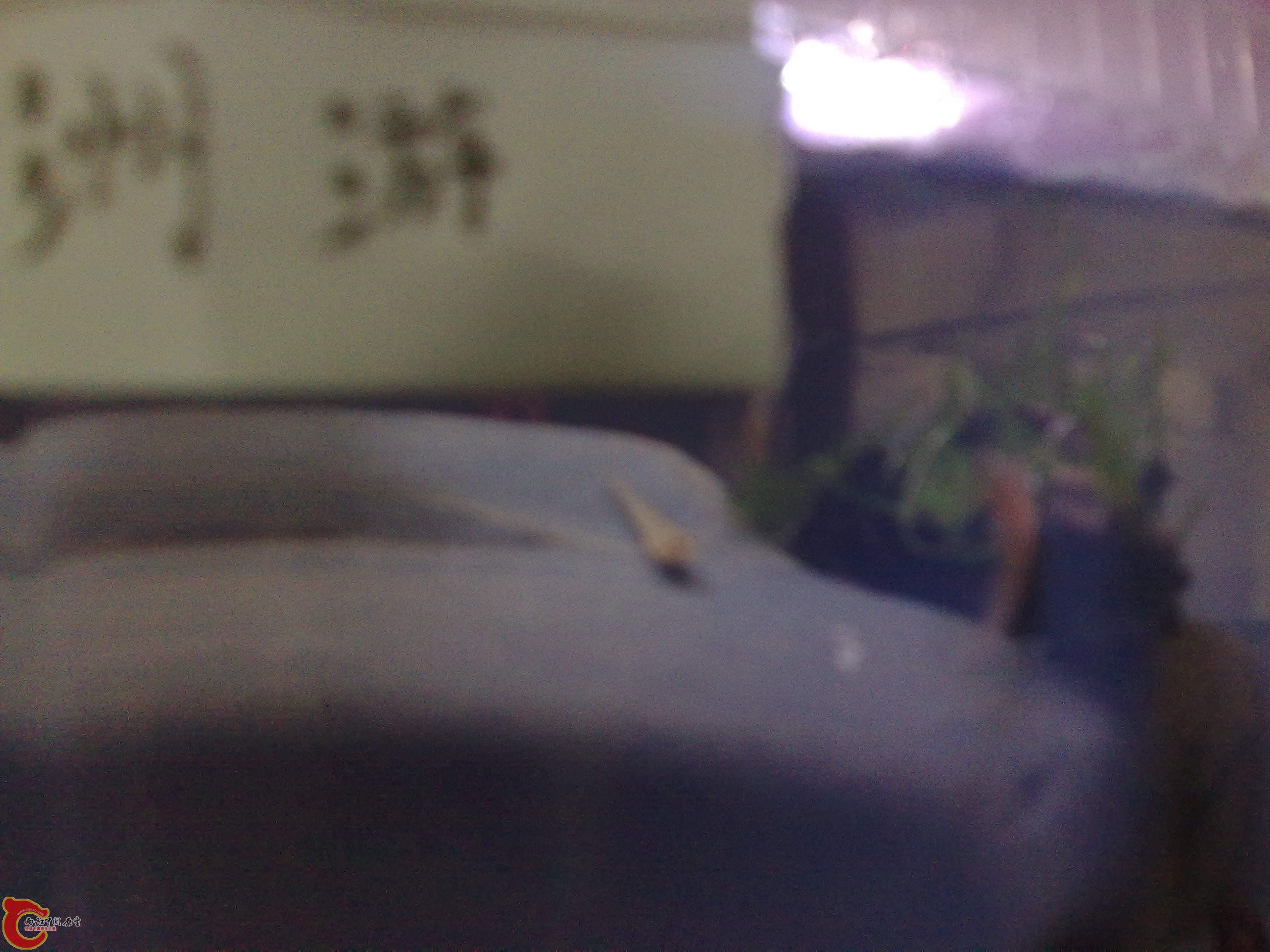 20120405137.jpg