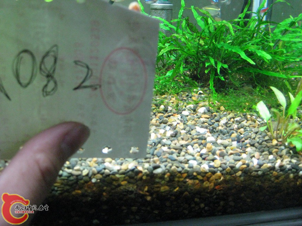 照片 205.jpg