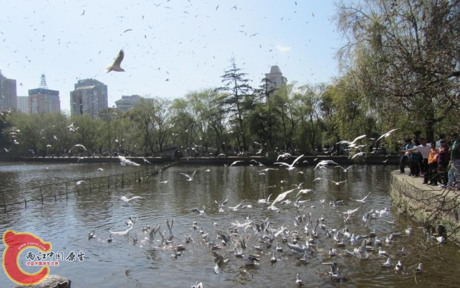360截图20120406220757703.jpg