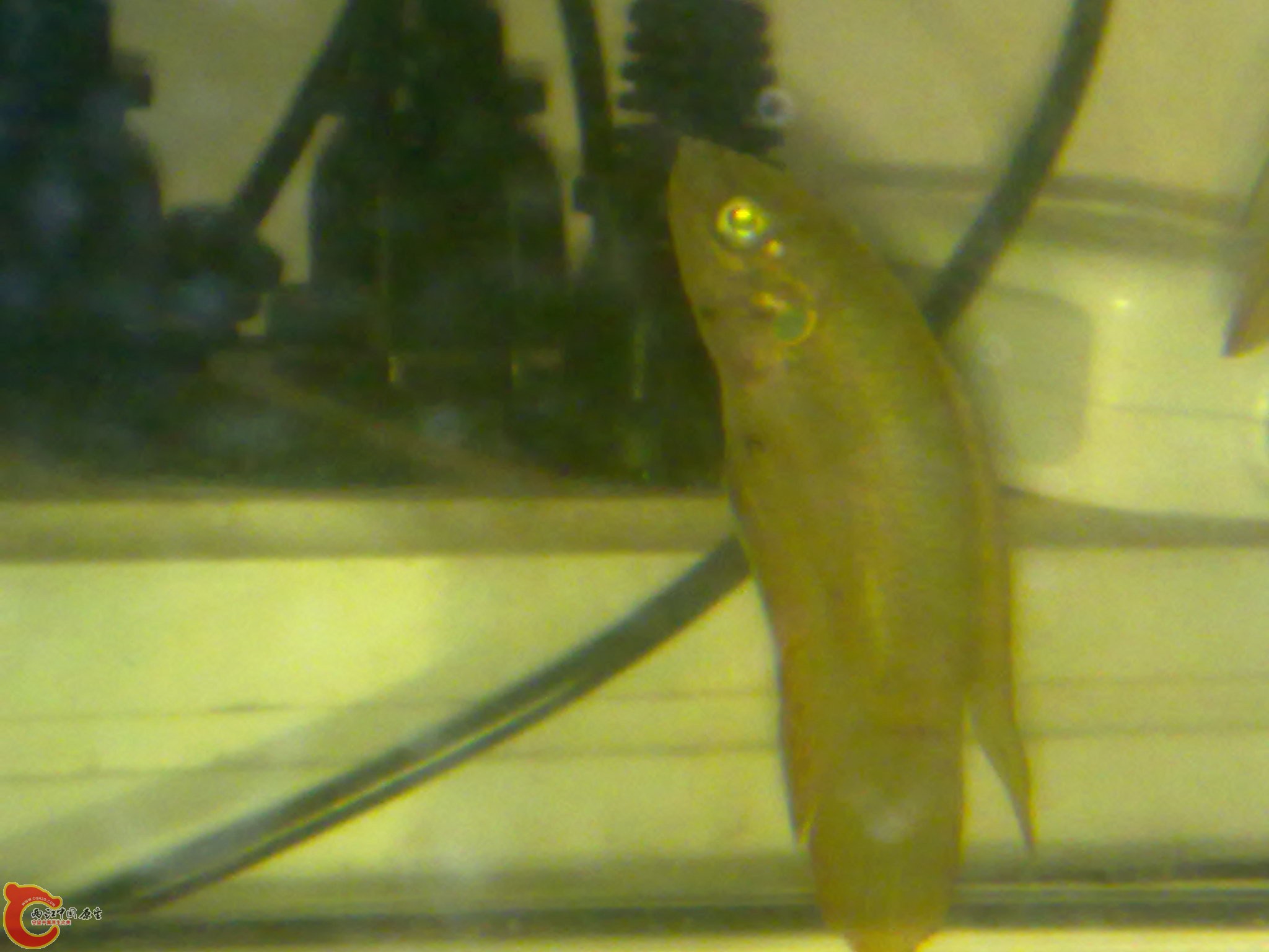 201204072384.jpg