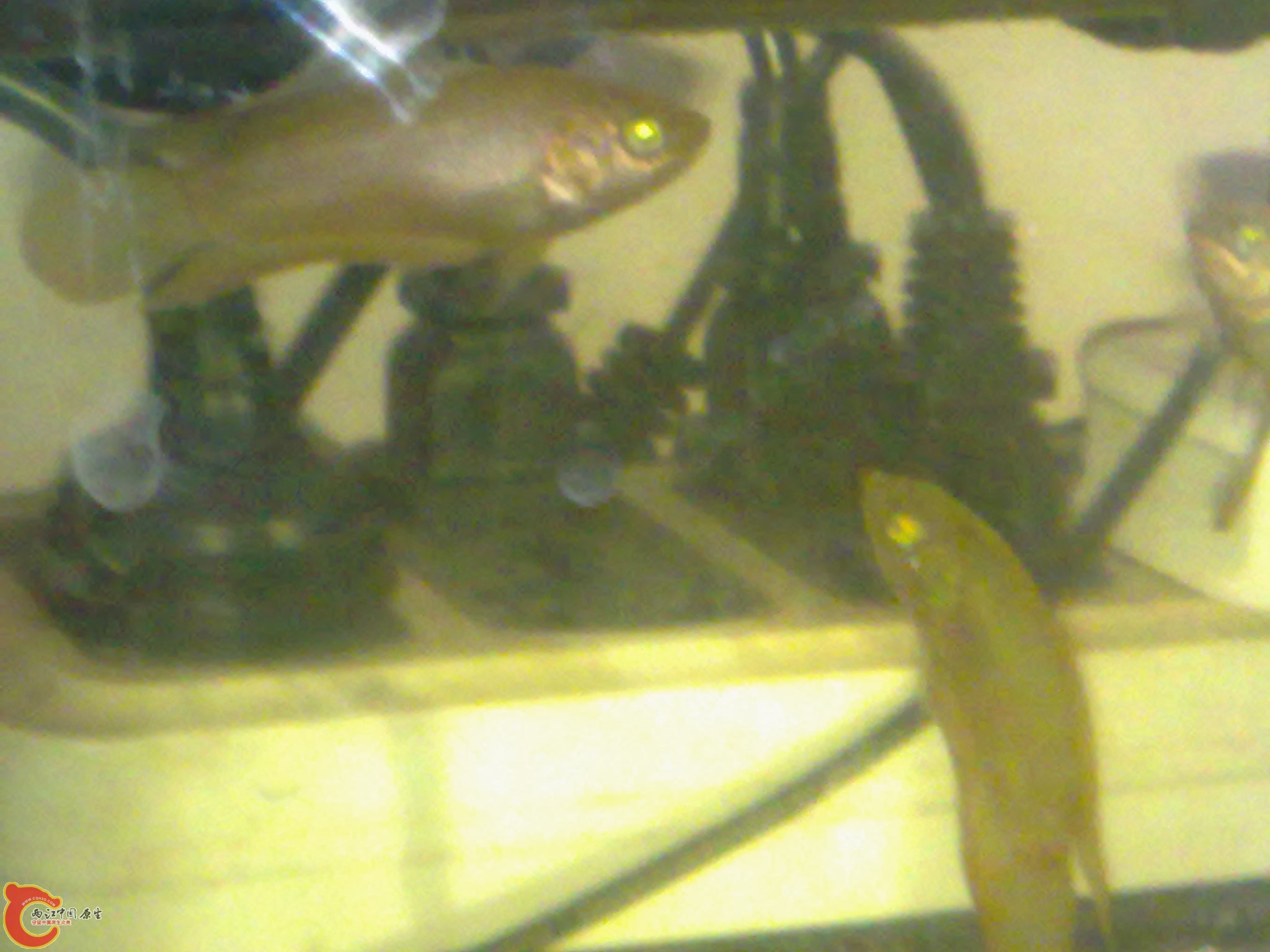 201204072385.jpg