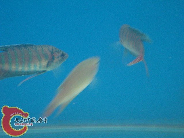 DSC01047.JPG