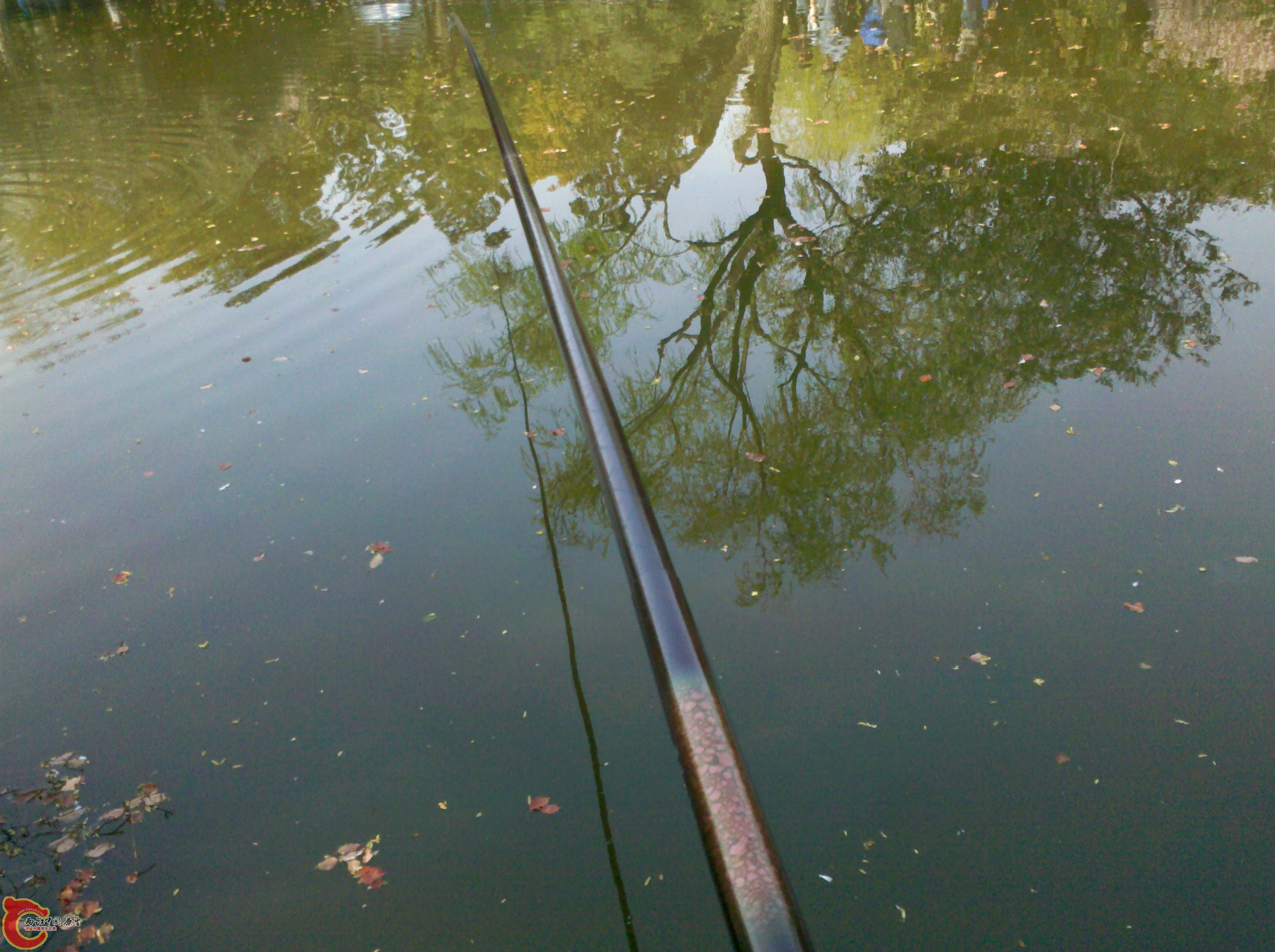 2012-04-07_14-55-29_661.jpg