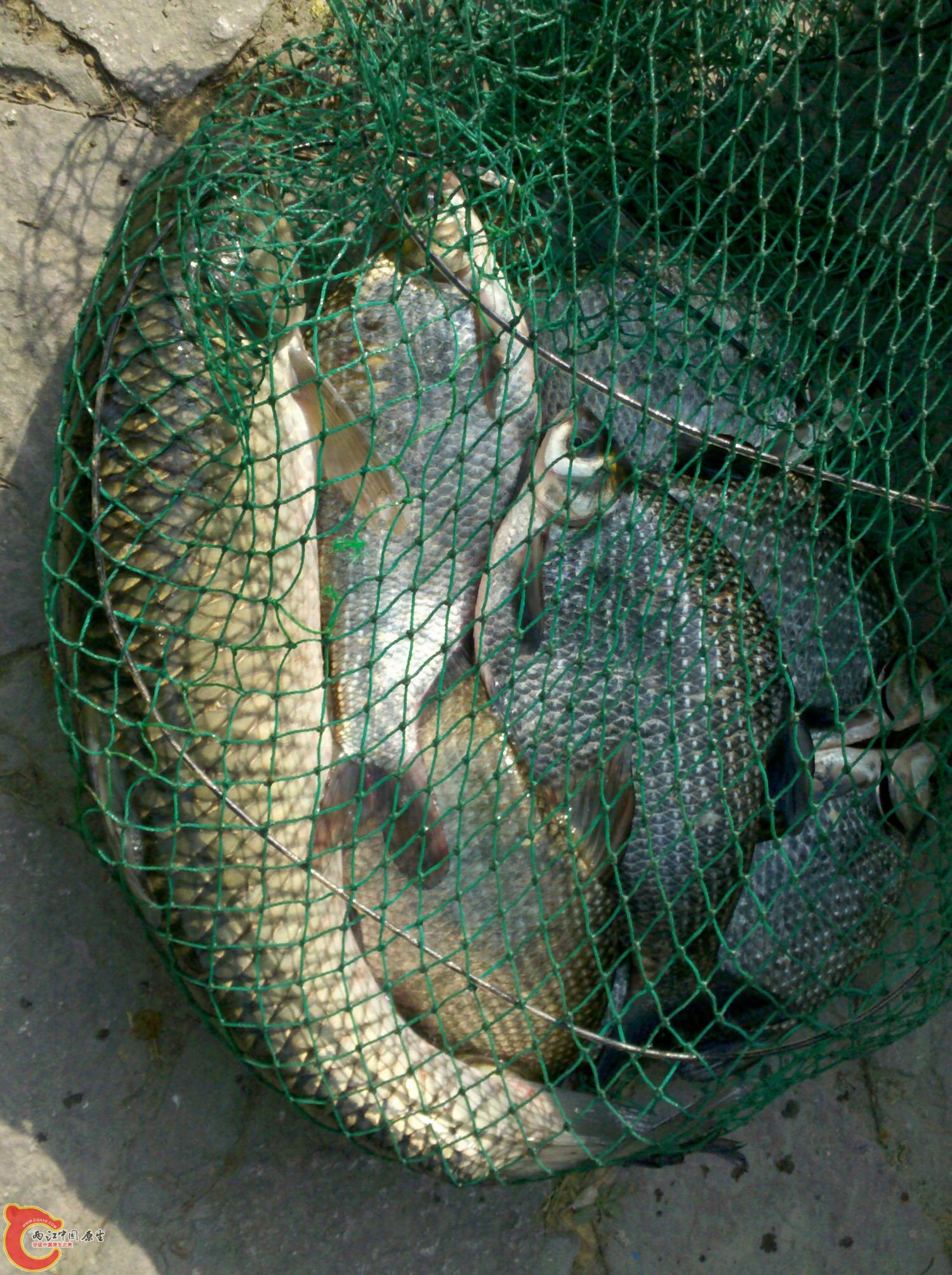 2012-04-07_15-21-15_353.jpg