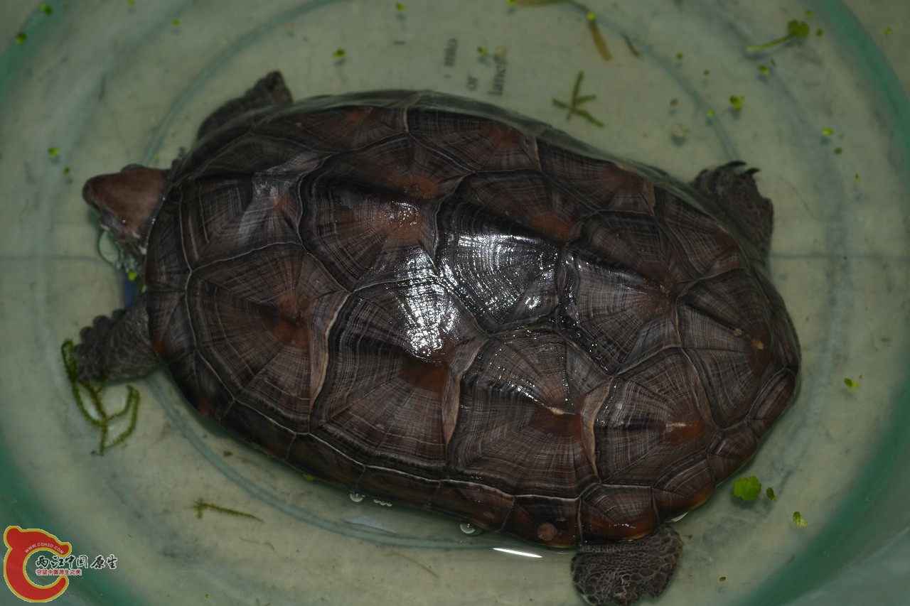 20120403-618.jpg