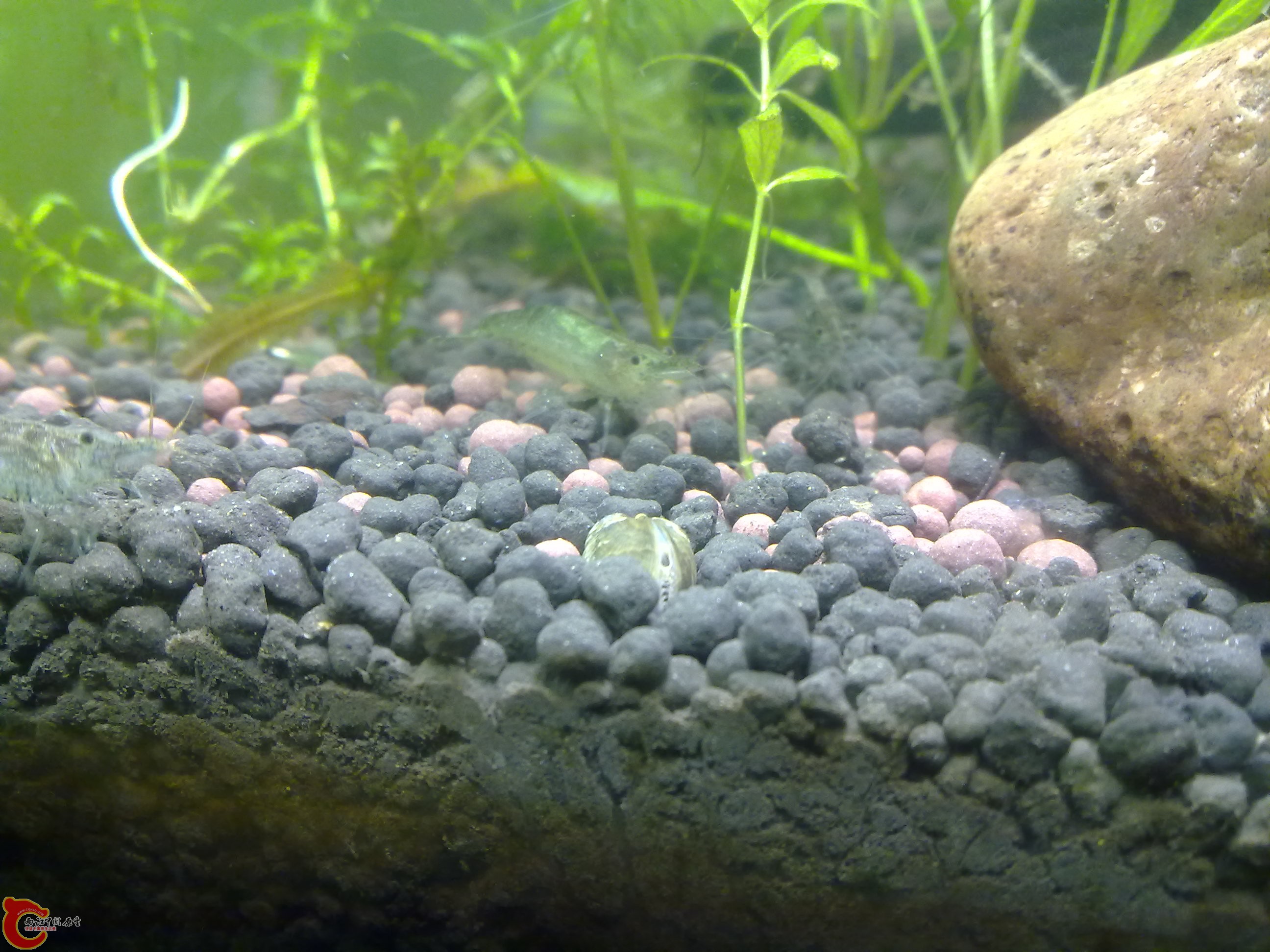 还是找个小东西