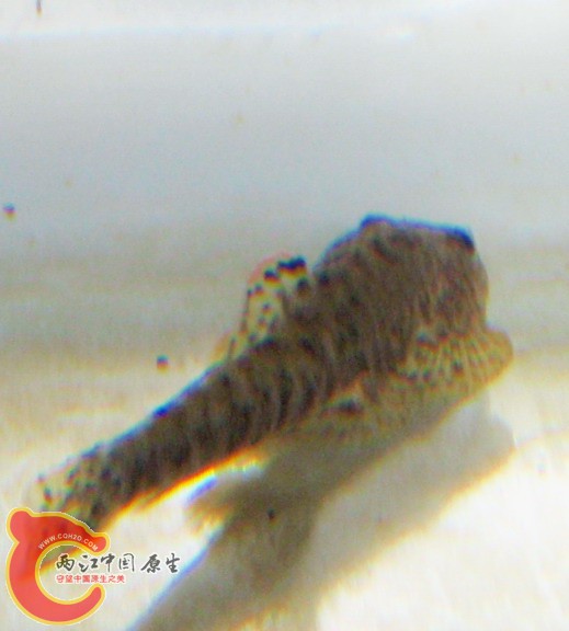 PC262859.JPG
