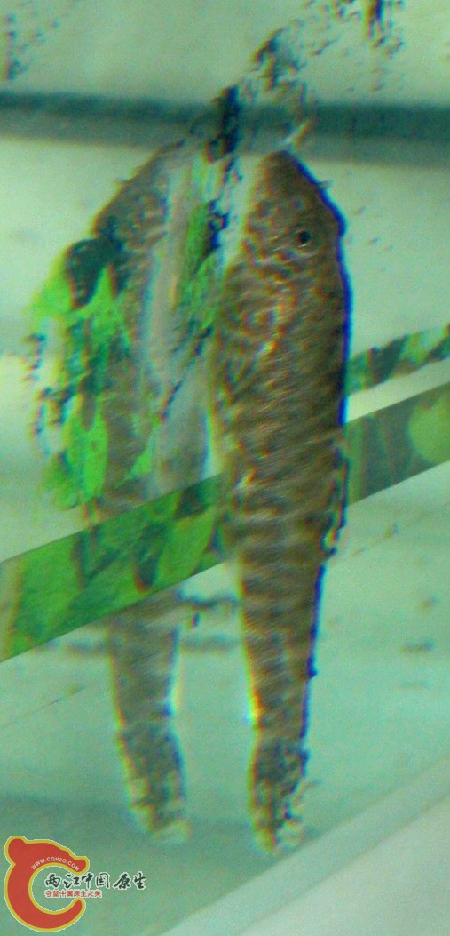 PB052559.JPG