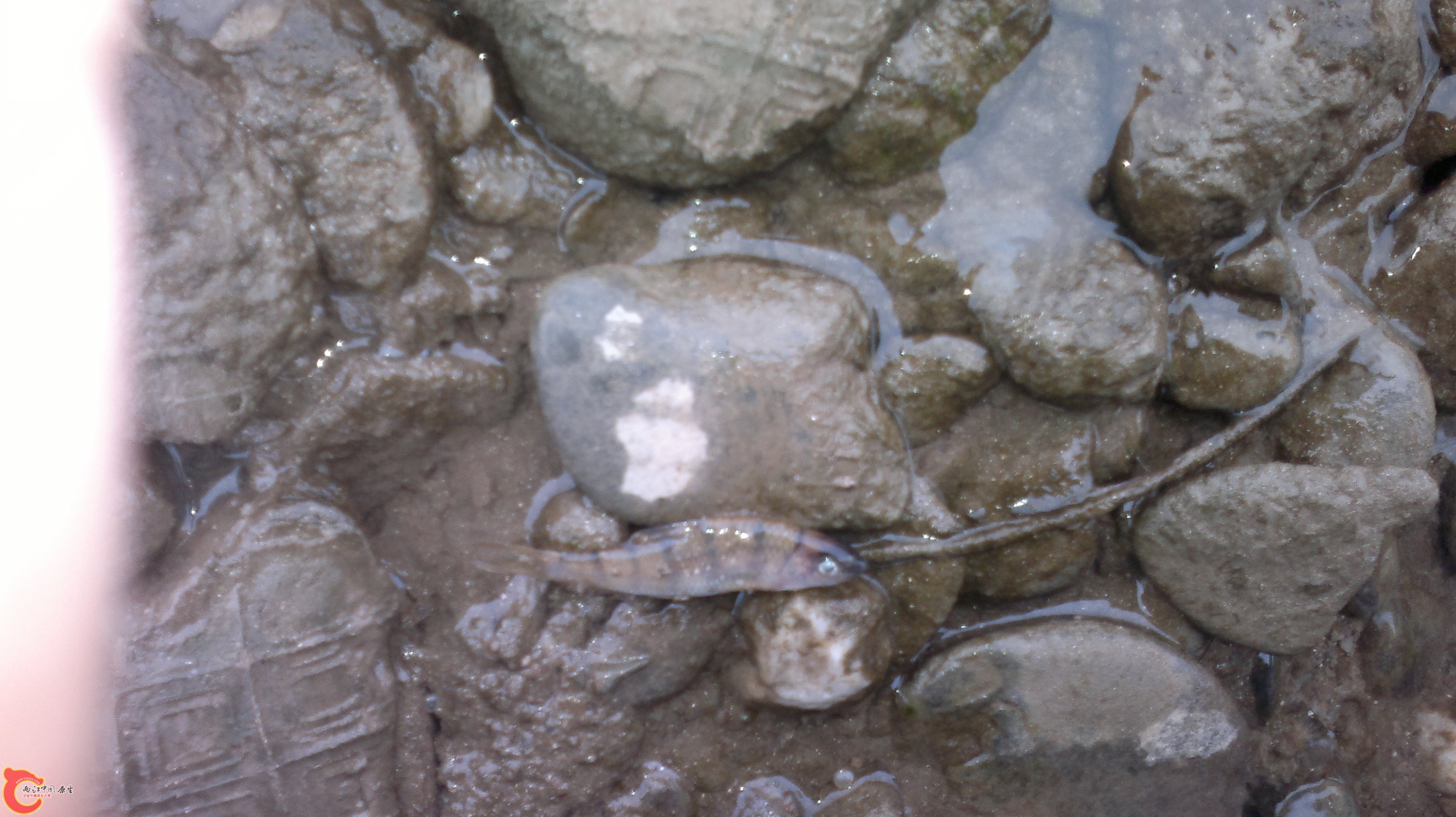 20120409144.jpg